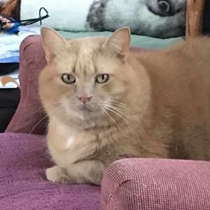 Meet your Posher, Kathy